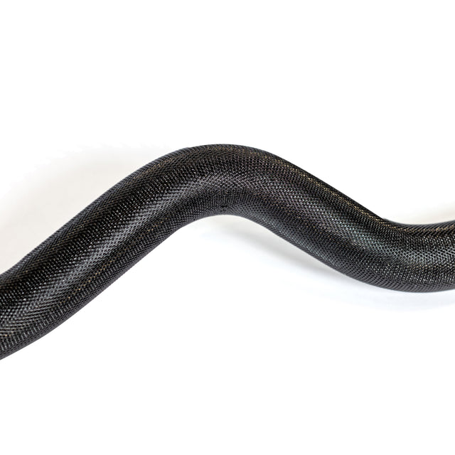 A close-up of a black snake’s smooth, curved body on white recalls the perfect arm shape achieved with the 54.5" EZ Curl Bar by Bells of Steel.