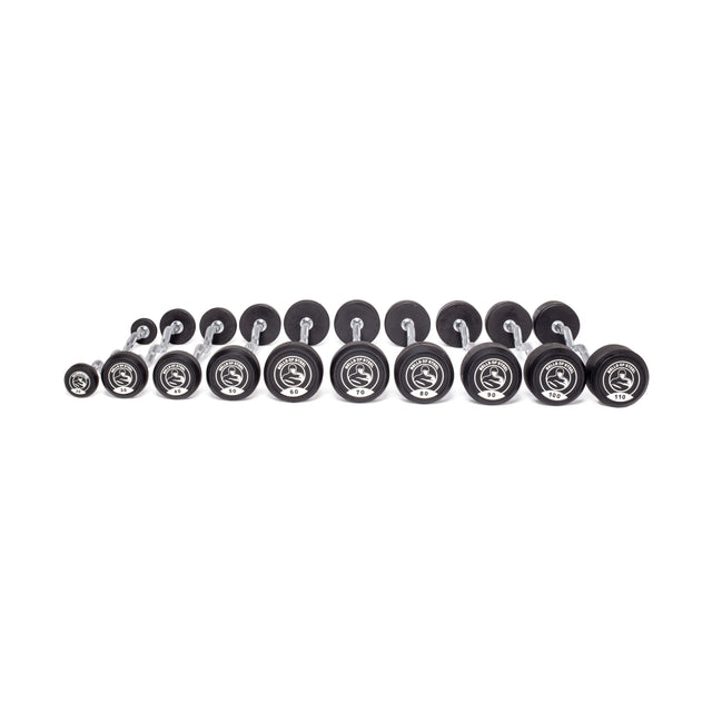 The Bells of Steel Fixed Barbells - Easy Curl in black and silver are neatly lined up in weight order on a white background, perfect for any home gym setup.