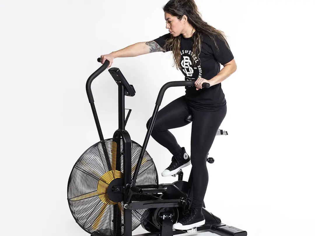 Fan bike or spin bike hotsell