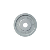 Machined Iron Olympic Weight Plates - 10 LB (Pair)