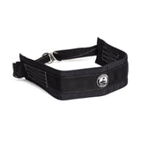 Dip Belt / Belt Squat Belt