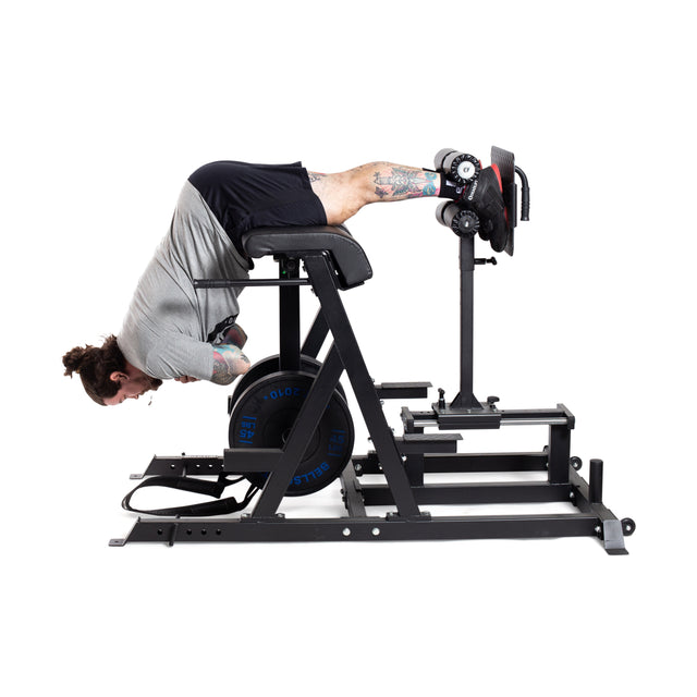 A person with tattoos is using the Bells of Steel Reverse Hammer 2 In 1 GHD And Reverse Back Extension at the gym. Focused on strengthening their posterior chain, they are positioned face down, bent over the padded support with their feet secured. They are dressed in a gray shirt, black shorts, and sneakers.