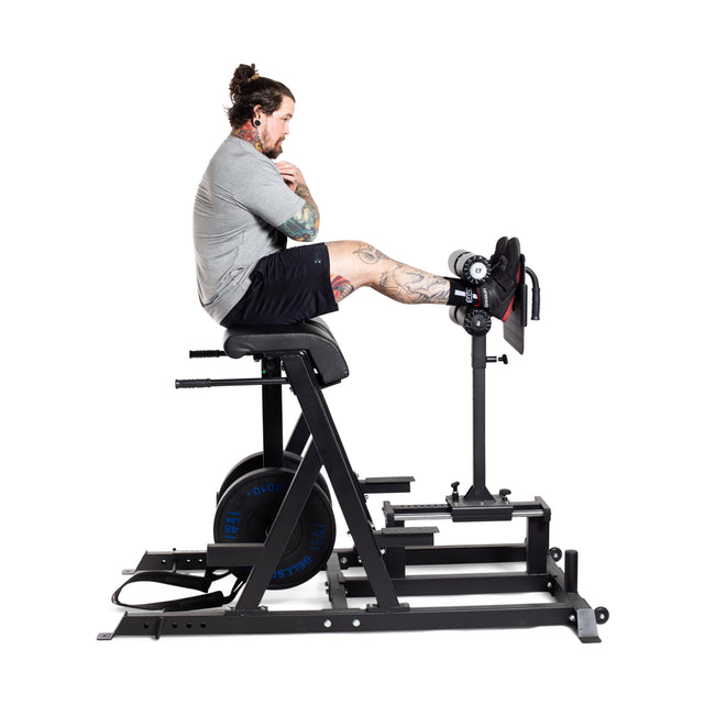 An individual sporting tattoos is exercising their posterior chain on a Bells of Steel Reverse Hammer 2 In 1 GHD And Reverse Back Extension. Clad in a gray shirt, black shorts, and athletic shoes, they execute sit-ups on the black apparatus with weights attached.