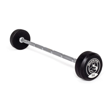 Fixed Barbell - Straight Handle - 70 LB